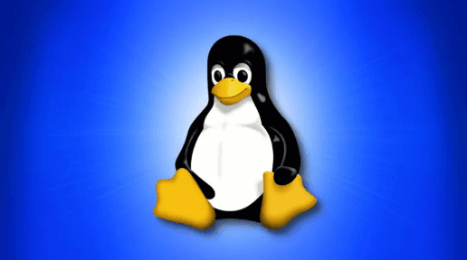 Terminal and server rack illustration communicating Linux expertise.